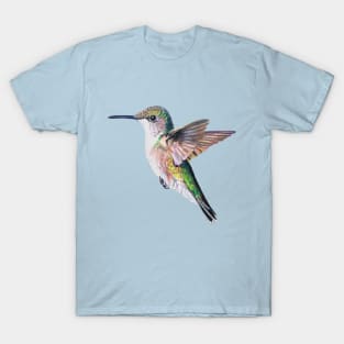 Female Ruby Throated Hummingbird drawing (no background) T-Shirt